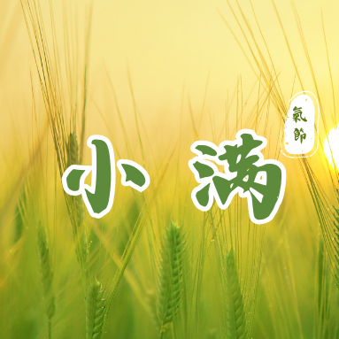 「小滿」| 二十四節氣 推薦食材、禁忌一次看