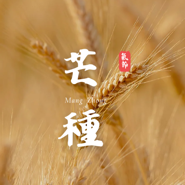 「芒種」| 二十四節氣 推薦食材、禁忌一次看